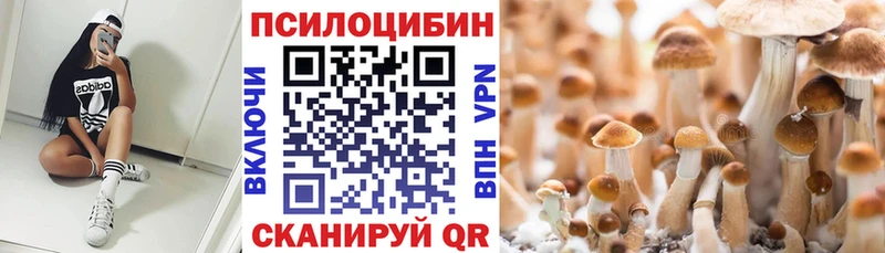 Псилоцибиновые грибы Cubensis  гидра ссылка  Новая Ляля  закладки 